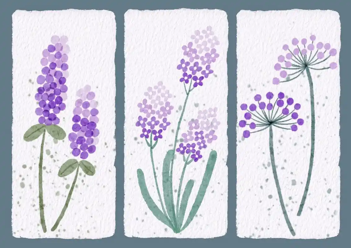 紫色系花草刺绣图案.花草图案素材,仿水彩插画.做刺绣,手账 - 抖音