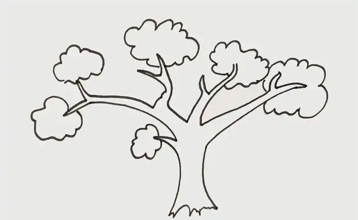 一颗在大自然中常见的大树的形状就画出来了.