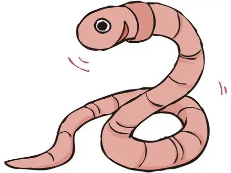 免费的剪贴画:蚯蚓 虫 一只动物 饵 活物 - 134574 |illustac