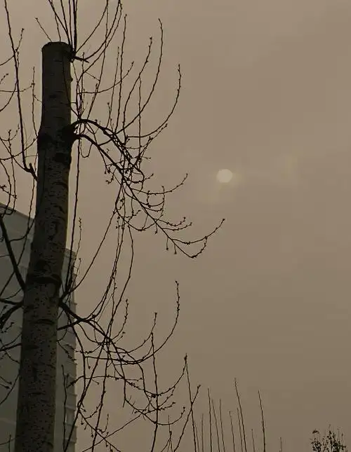 半岛鱼论坛 69 客户交流分享区 69 qq群聊天记录 69 2015-04-02