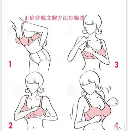 如何正确穿戴胸罩,穿文胸的正确方法步骤图_文胸_肩带_胸部_副乳_丰胸