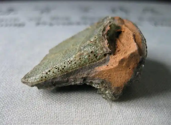 南官标本"聚沫攒珠"气泡之美