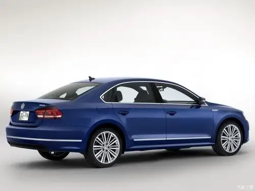 大众大众(进口)passat2014款 bluemotion