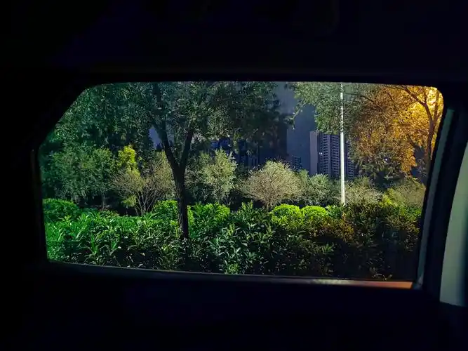 夜晚车窗外 - 花粉随手拍夜景 花粉俱乐部