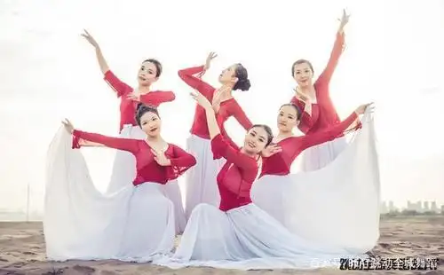 干货:中国古典舞常用起始舞姿,身体动作详细分解