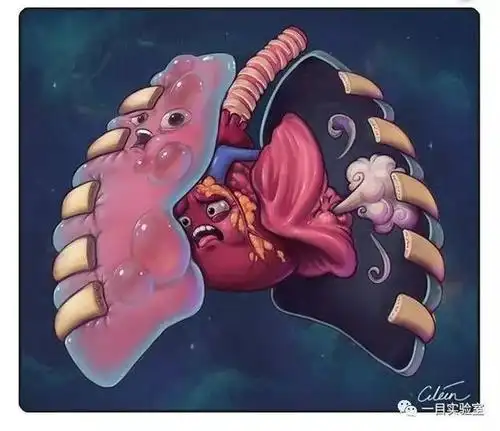 医学美图:医学插画师cilein kearns作品欣赏