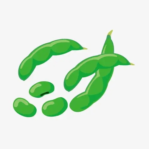 手绘立秋秋季卡通四季豆