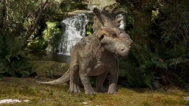 厚鼻龙(pachyrhinosaurus)是一种生活在约7000万年前的晚白垩世的角龙