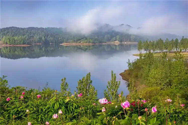 刚刚过去的"五一"假期,信阳市商城县的旅游市场"多点开花",热