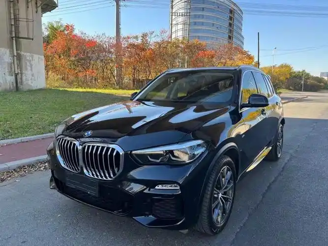 宝马 宝马x5 2021款 xdrive30i m运动套装图片