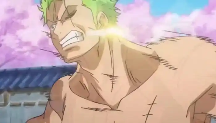 索隆开眼是哪一集 - 匠子生活