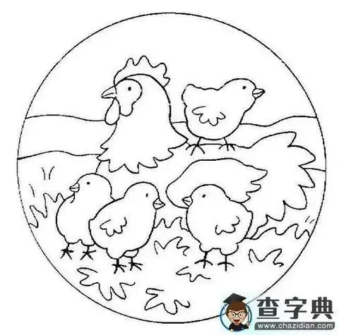 母鸡保护小鸡简笔画
