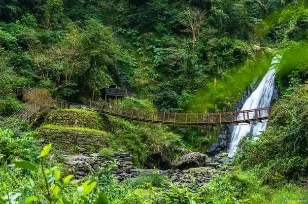 重庆万盛经开区黑山谷景区:自然与文化的奇妙交融