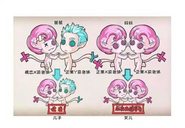 小女生恳情地说 医生我可以生小孩吗?可以吗?血友病患者的心声
