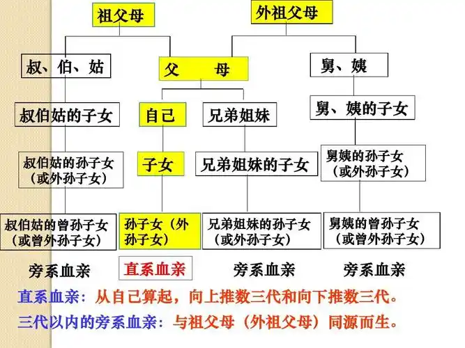 3《人类遗传病》课件(新人教版必修2)ppt
