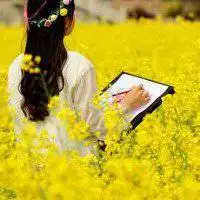 油菜花背影女生头像_唯美油菜花女生背影头像图片