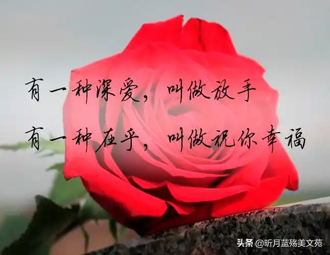 一切安好图片带字唯美愿你一切安好唯美句子