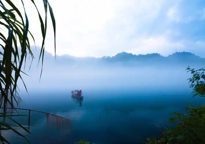 酷享网络_企鹊桥