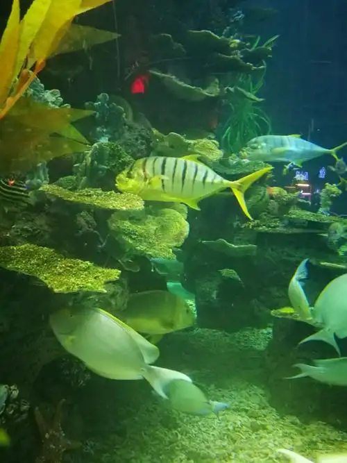 齐河海洋世界游