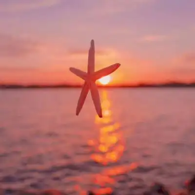 平安好运吉祥微信头像暖时光