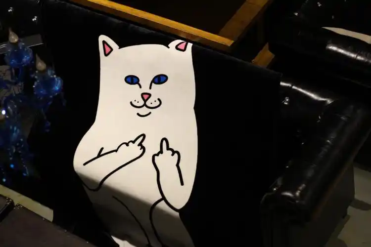 欧美潮牌贱猫中指猫空调毯法兰绒毛毯珊瑚绒毯子单双人床单