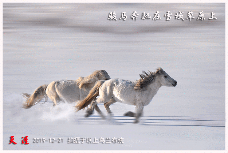 其它 万马奔腾 写美篇万马奔腾 壮士骑马挥长鞭,万马奔腾起狼烟.