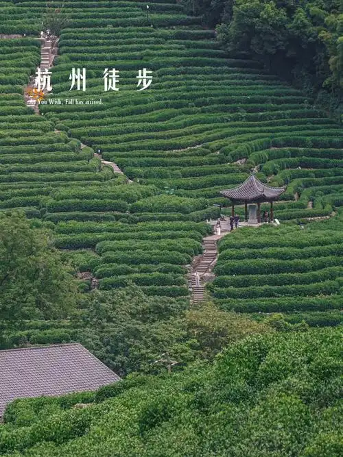 十一杭州绝美徒步|九溪十里琅珰云栖竹径