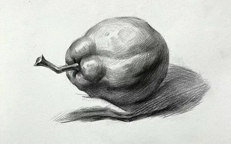 素描静物梨子单体训练【从零起步系列课程】_哔哩哔哩_bilibili