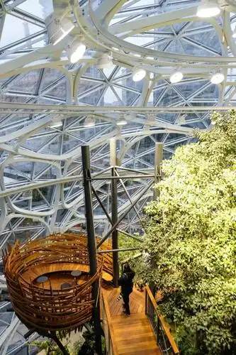 亚马逊新总部: 城市中价值 40 亿美金的热带雨林