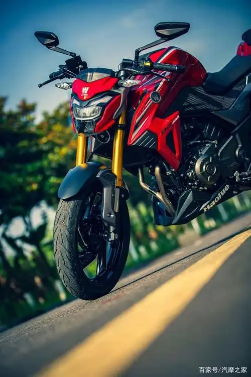 豪爵dr300详解:豪爵铃木目前排量及配置最高的车型