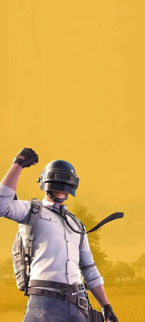 吃鸡游戏壁纸 | pubg最新壁纸电脑版与手机壁纸分享