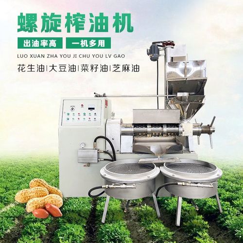 家用榨油机小号小型榨油机家用最小