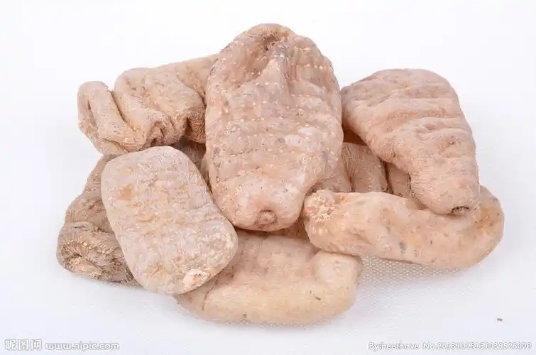 中药饮片天麻图片