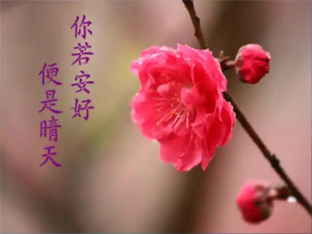 一切安好便是晴天什么意思