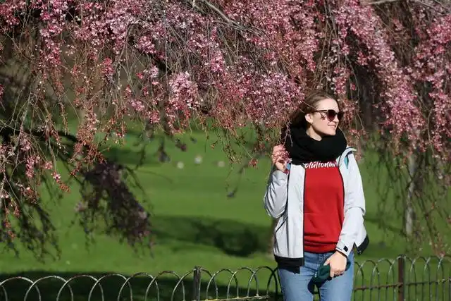 4.英国,伦敦,3月6日,一位年轻女子在圣詹姆斯公园享受早春的阳光.