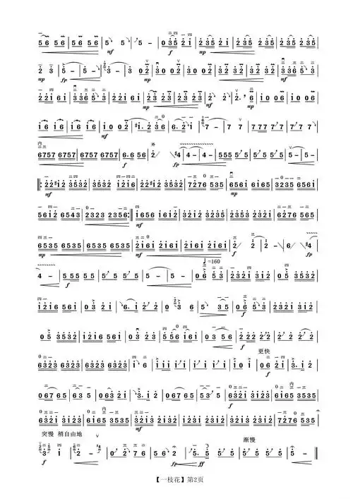 一枝花(二胡)简谱歌词