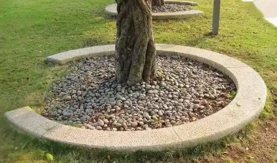 石简单的就采用4根切角的长条石组成,将树坑包围,也有各种圆形等款式