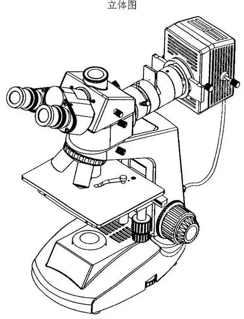 金相显微镜(xjz)