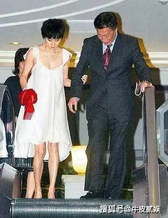 "拽姐"的豪门梦,破碎了_刘嘉玲_许晋亨_香港