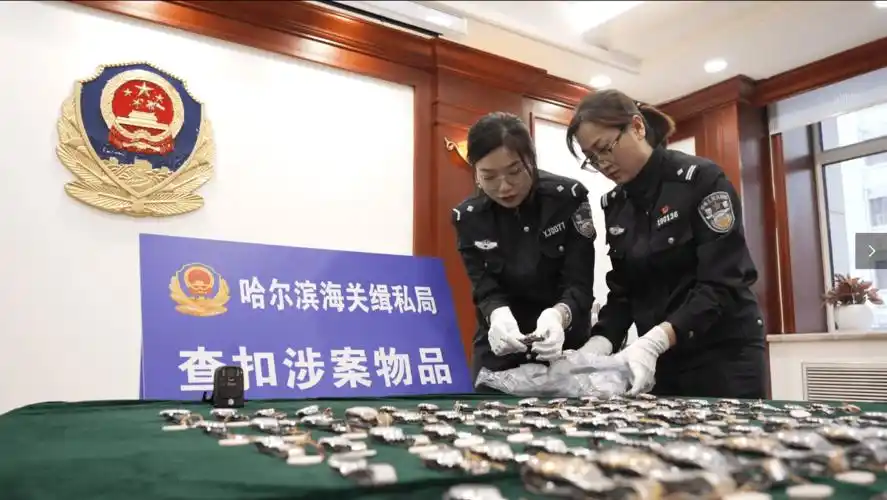 图为:哈尔滨海关缉私局民警清点查扣的走私手表