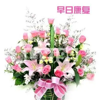 探望老年病人买什么礼物最合适