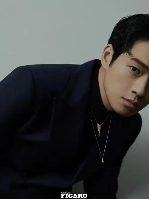 魏大勋极致雅痞封面##魏大勋费加罗闭年刊封面