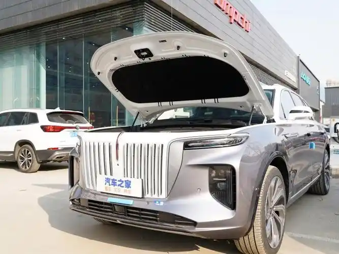 【图解图片_成都建国红旗红旗e-hs9图片】-汽车之家