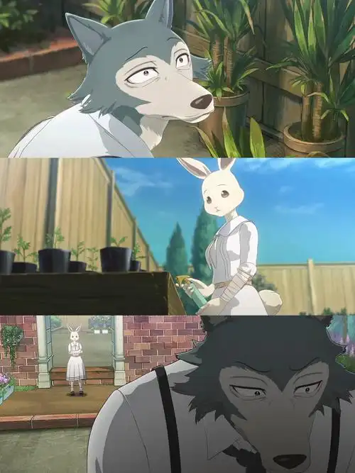 今天要给大家推荐的动漫是《动物狂想曲》