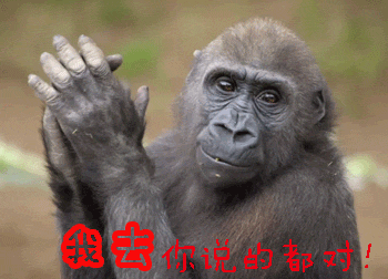 我去gif你说的都对gif动物gif