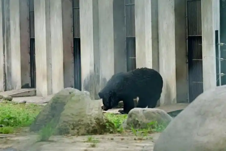 环境友好 儿童友好│成实外繁懋教育"回声公益"为生态持续发声