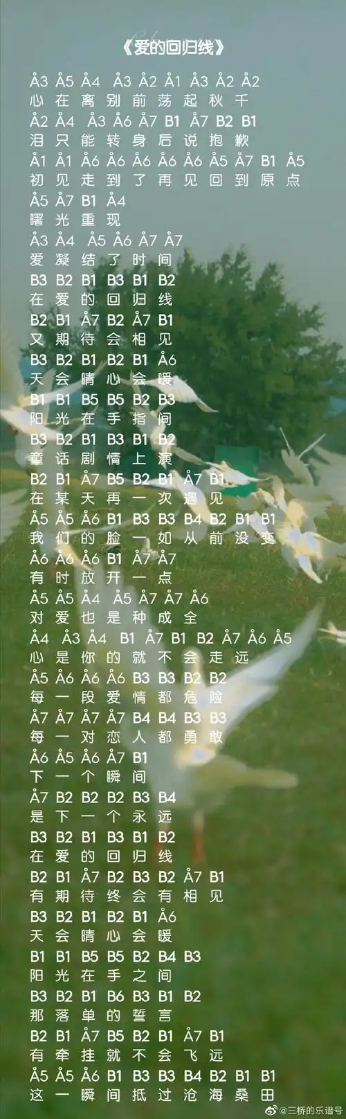 光遇爱的回归线乐谱分享