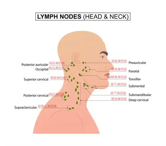 也会伴随性出现颌下淋巴结或者耳前淋巴结肿大,通常宝宝也没什么明显