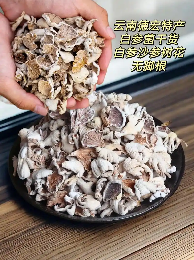 德宏白参菌干货,98跟脚无沙子干净,有大有小,吃之前要泡发2 - 抖音