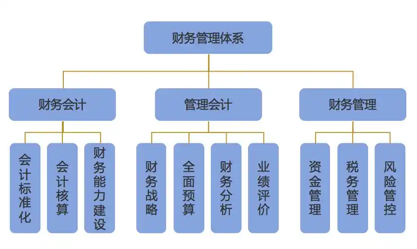 企业财务管理(财务信息化管理)「理臣咨询」